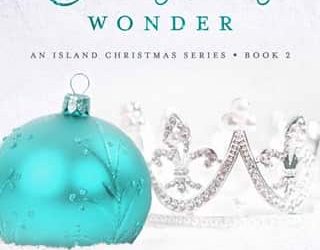 christmas wonder hayley summers