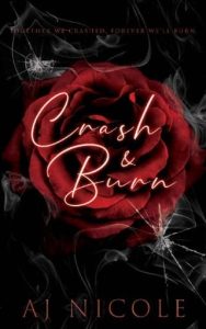 crash burn, aj nicole