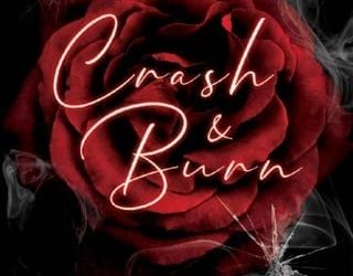 crash burn aj nicole