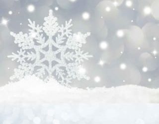 harlan julep chashiree m