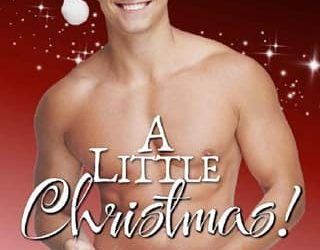 little christmas brina brady