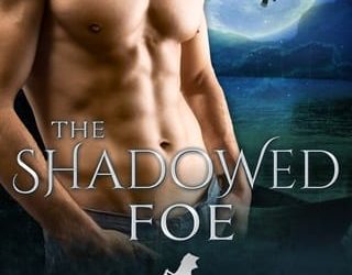 shadowed foe mac flynn