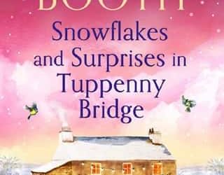 snowflakes surprises sharon booth