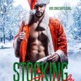 stocking stuffer lorelei m hart