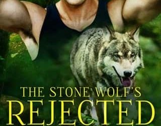 stone wolf's cate c wells