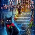 witch for christmas deanna chase