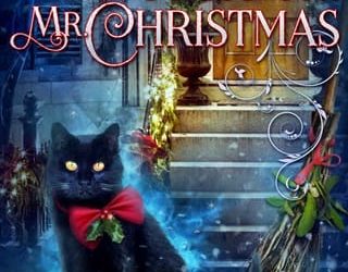 witch for christmas deanna chase