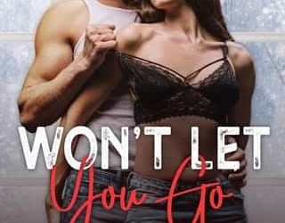 won't let you go sadie haller