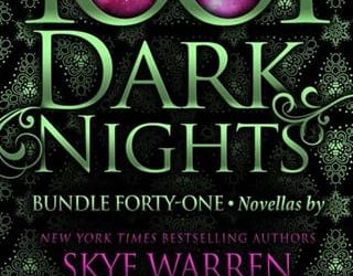 1001 dark nights 41 skye warren