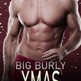 burly xmas erin havoc