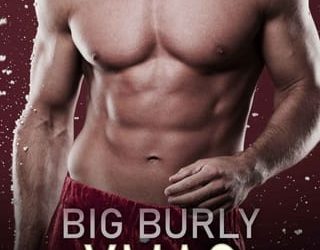 burly xmas erin havoc