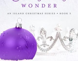 christmas wnder hayley summers