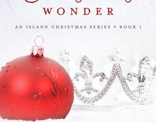 christmas wonder hayley summers