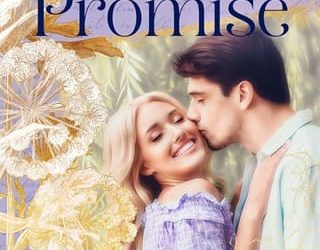 dress designer's promise melissa mcclone