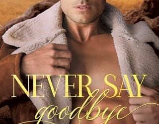 never say goodbye felice stevens