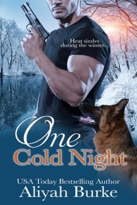 one cold night, aliyah burke