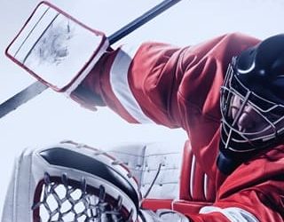 puck now talk later lina george