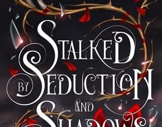 stalked seduction shadows maggie sunseri