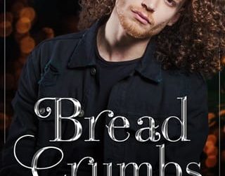 bread crumbs kim fielding