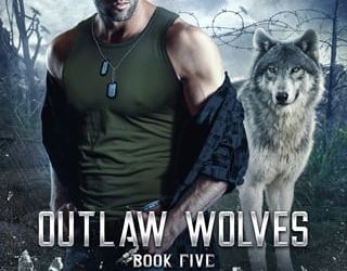 broken anastasia wilde