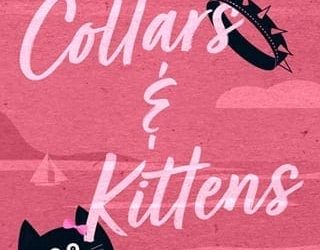 collars kittens april cross