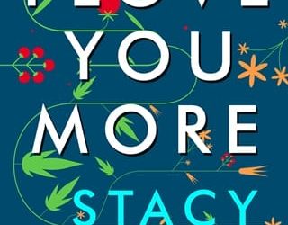 i love you more stacy finz