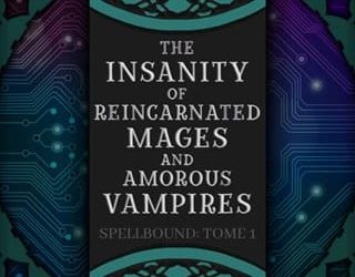 insanity reincarnated mages aj sherwood