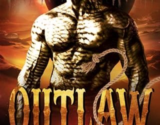 outlaw ag wilde