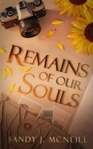 remains our souls, sandy j mcneill
