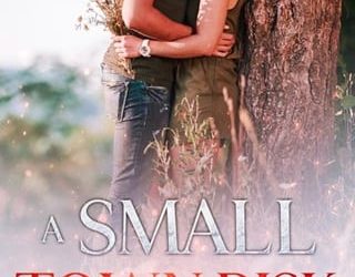 small town risk juli hill