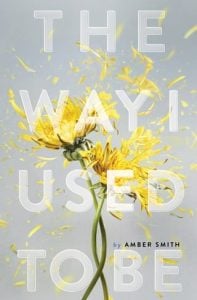 way i used to be, amber smith