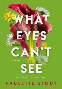what eyes can't see, paulette stout