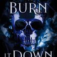 burn it down leia king