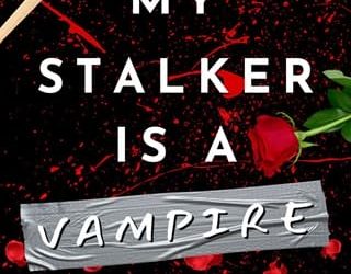 help my stalker storm song