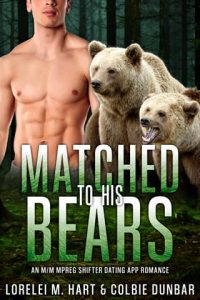 matched bears, lorelei m hart