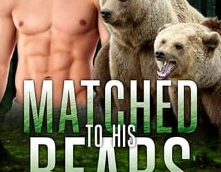matched bears lorelei m hart