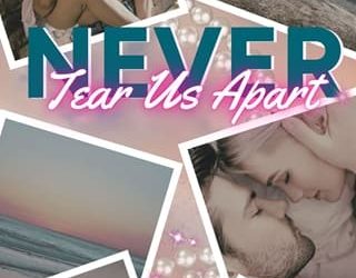 never tear us dm simmons