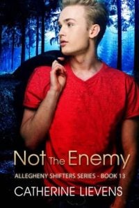 not enemy, catherine lievens
