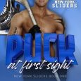 puck first sight andie bale