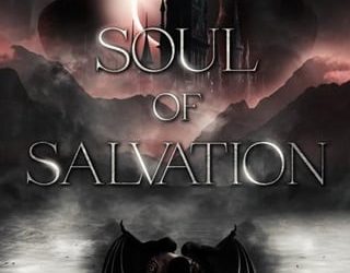 soul of salvation ali stuebbe