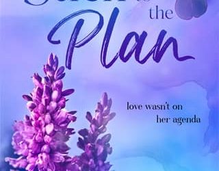 stick to plan rs barry