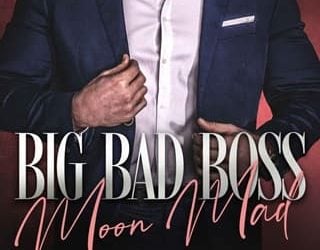 big bad boss renee rose