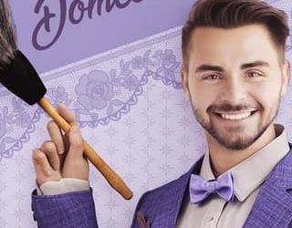 househusband's guide lance lansdale