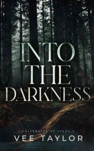 into darkness, vee taylor