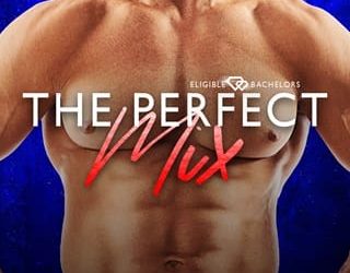 perfect mix beth a freely