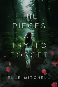 pieces we try forget, elle mitchell