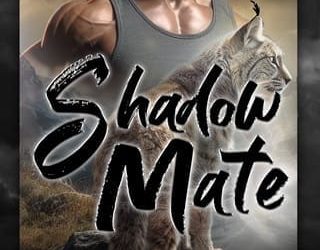 shadow mate delta james