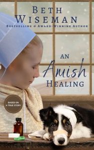 amish healing, beth wiseman