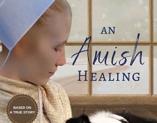 amish healing beth wiseman