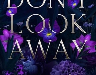 don't look away evelyn austin